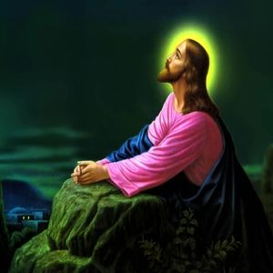 Meet your Posher, Charles